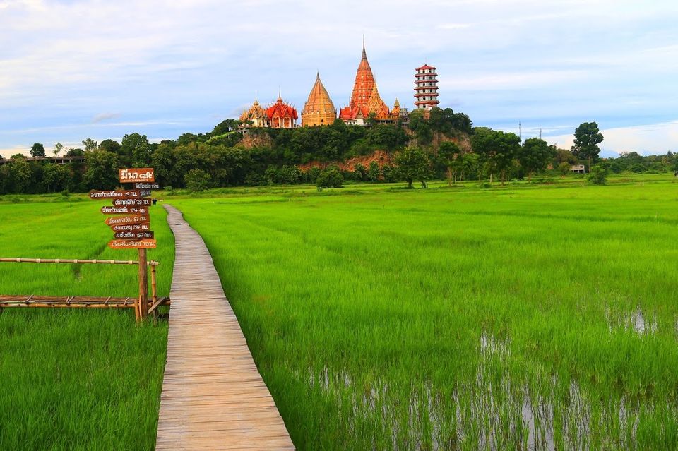 Wat Tham Suea - Kanchanaburi - Vue depuis les risières